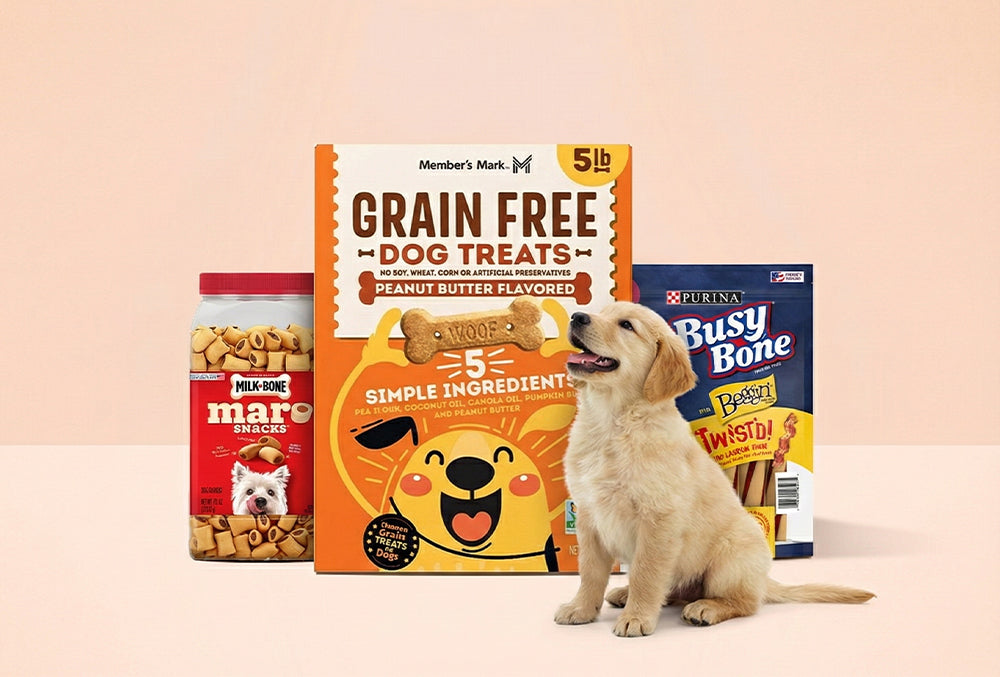 Pet Health (반려동물 건강)