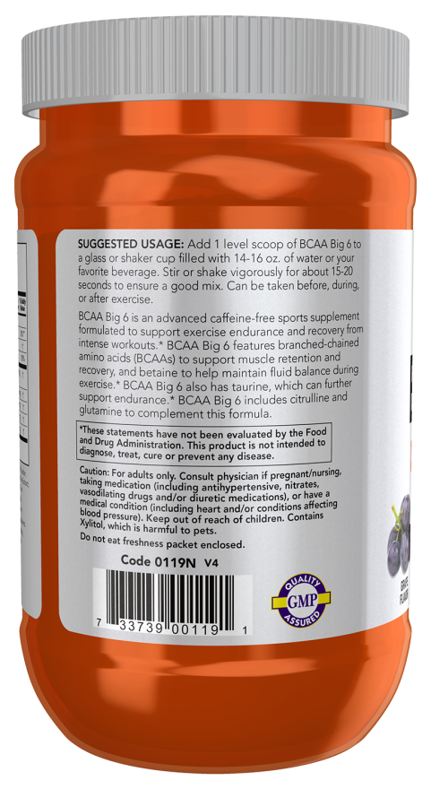 나우푸드 BCAA 빅 6 포도맛 파우더 – 지구력·회복을 위한 아미노산 블렌드
