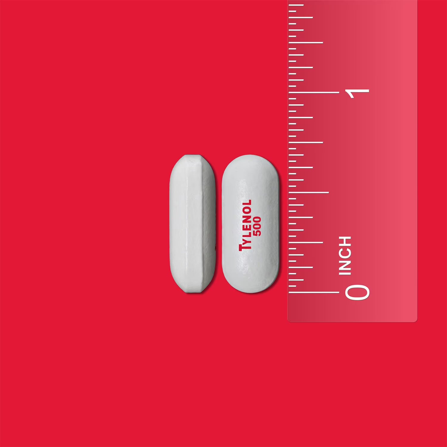 타이레놀 엑스트라 스트렝스 500mg 50팩