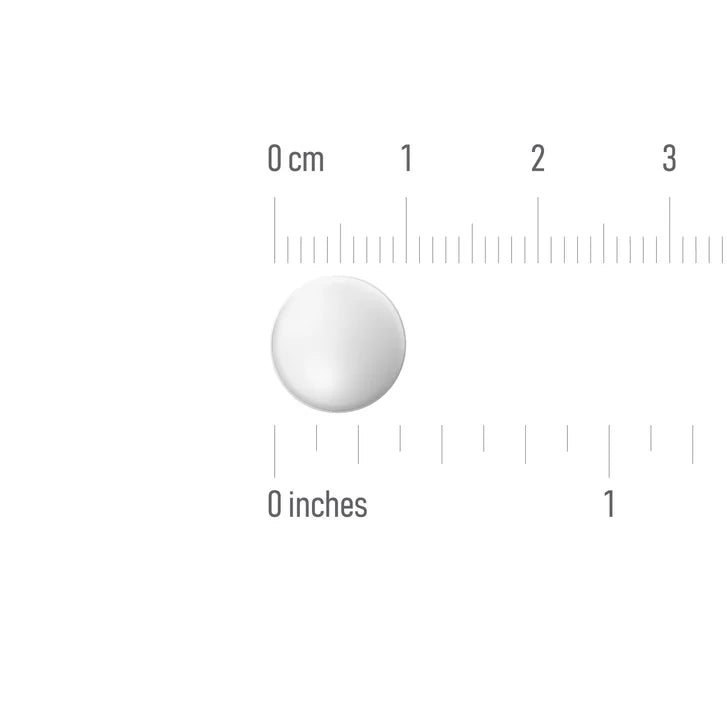 커클랜드 알러텍 D 12시간 서방정 24정 — 알레르기·코막힘 이중 완화