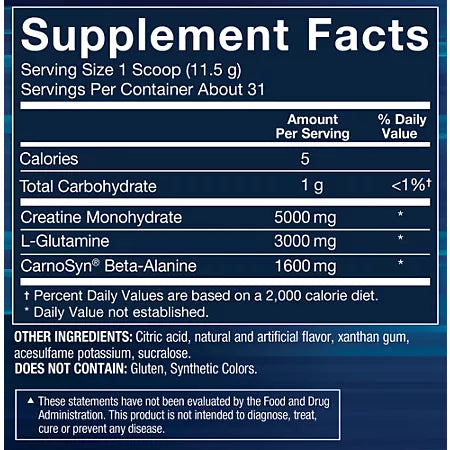 BodyTech Creatine + Glutamine with Beta-Alanine Powder – Micronized – Fruit Punch (12.6 oz./31 Servings)