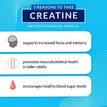 BodyTech Creatine + Glutamine with Beta-Alanine Powder – Micronized – Fruit Punch (12.6 oz./31 Servings)