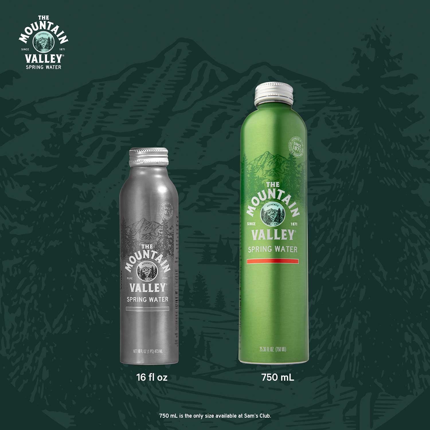 마운틴 밸리 스틸 스프링 워터 알루미늄 보틀 750 ml × 12 – 친환경 패키지 생수