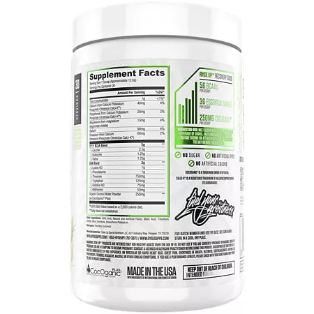 라이즈 BCAA + EAA 트로피컬 스노콘 13.3oz 30회분