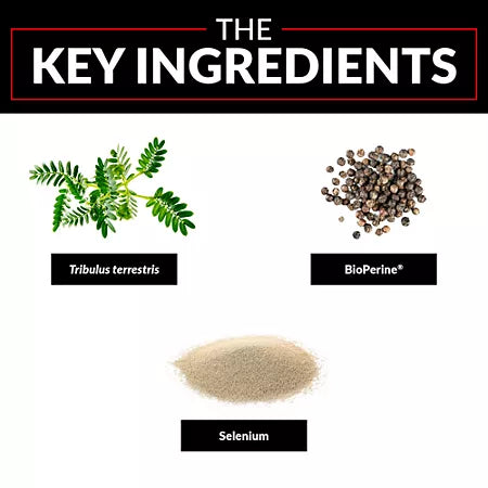포스팩터 트리불러스 맥스 남성 활력·퍼포먼스 집중 강화 고함량 테스토스테론 부스터 120캡슐