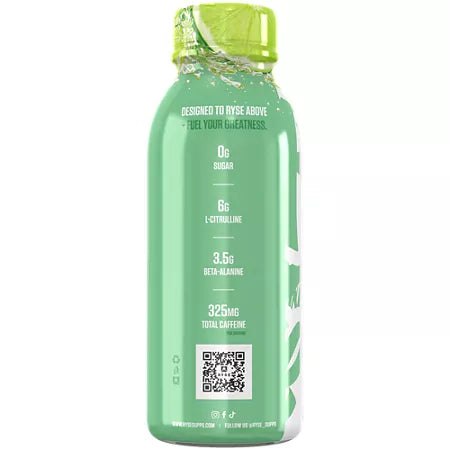 라이즈 RTD 프리워크아웃 바하 쿨러 12병 12fl oz