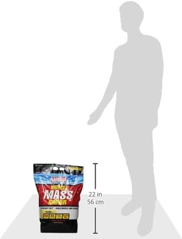 라브라다 머슬 매스 게이너 초콜릿 12lb – 체중 증가와 벌크업을 위한 고칼로리 매스 게이너