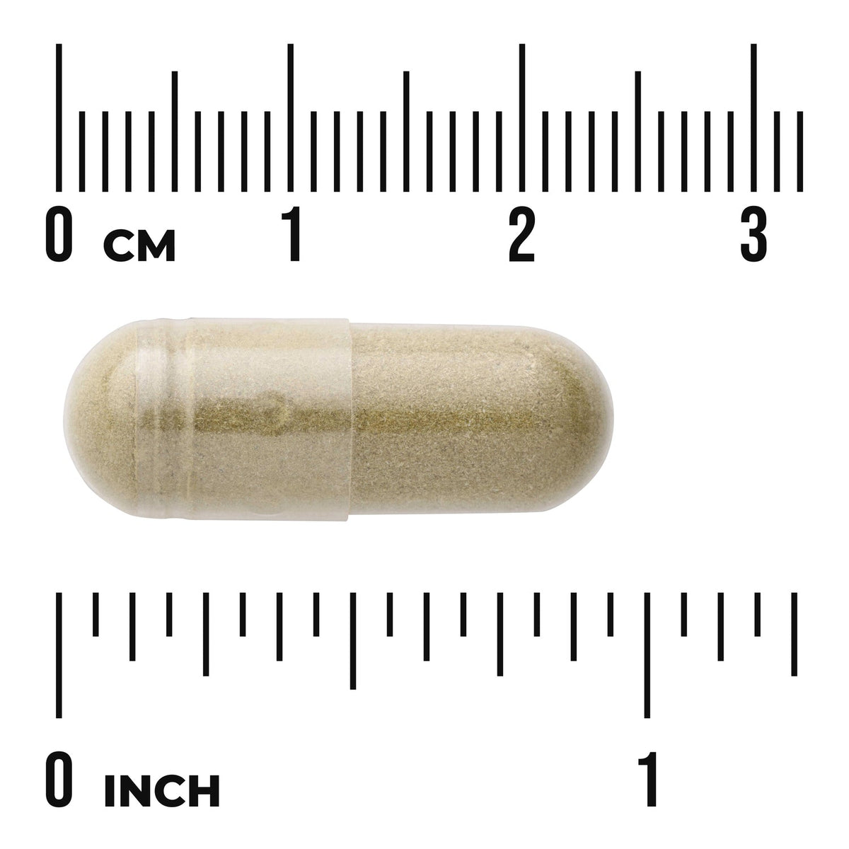스완슨 안드로그라피스 400mg 60캡슐 상세 이미지 2