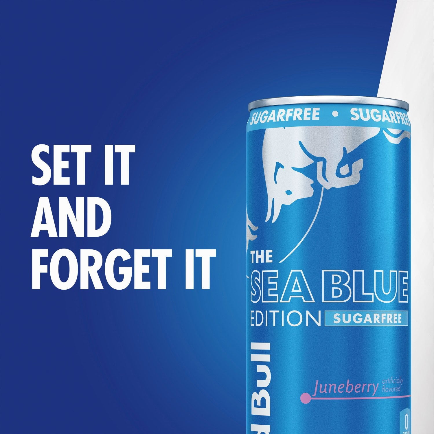 레드불 슈가프리 씨 블루 에디션 8.4 fl. oz × 24 – 블루베리 맛