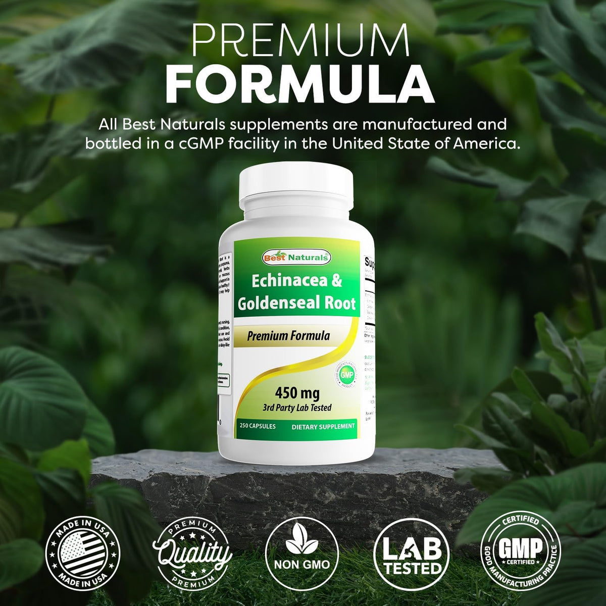 베스트 내추럴스 에키네시아 & 골든씰 루트 450mg 250캡슐 – Echinacea Goldenseal Root 허브 복합 포뮬러
