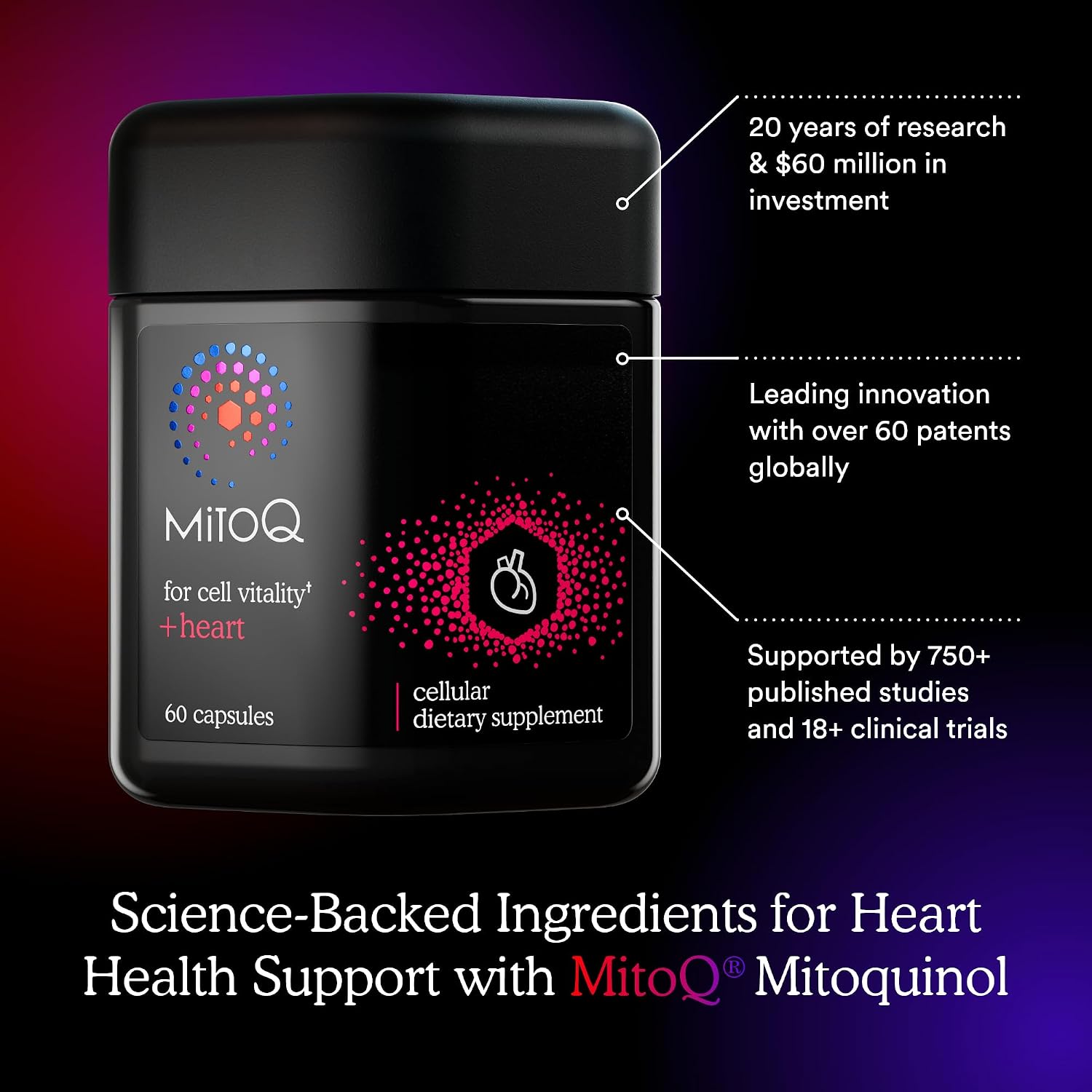 MitoQ +Heart 미토큐 플러스 하트 60캡슐 – 미토퀴놀 CoQ10·L-카르니틴·마그네슘·비타민 D3 심혈관 영양제