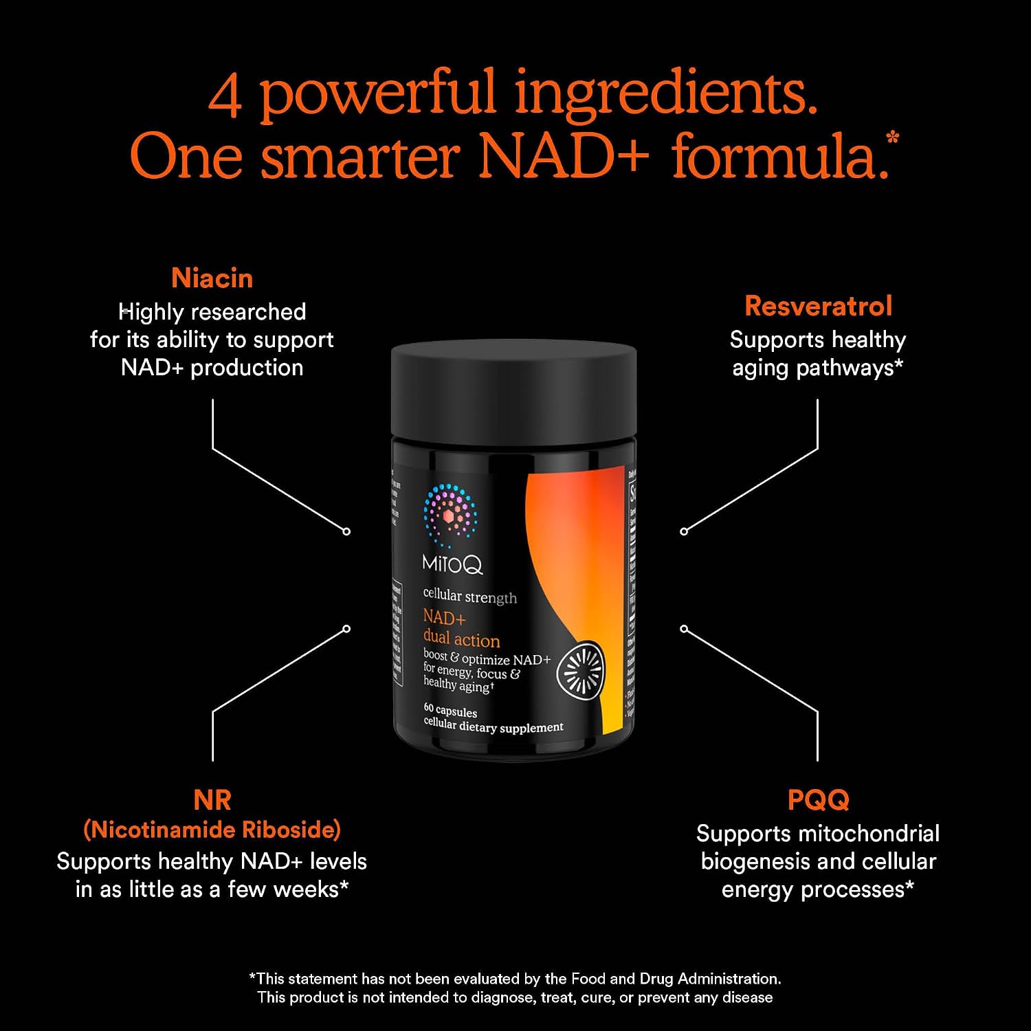 MitoQ NAD+ Dual Action 미토큐 NAD+ 60캡슐 – NR·레스베라트롤·PQQ