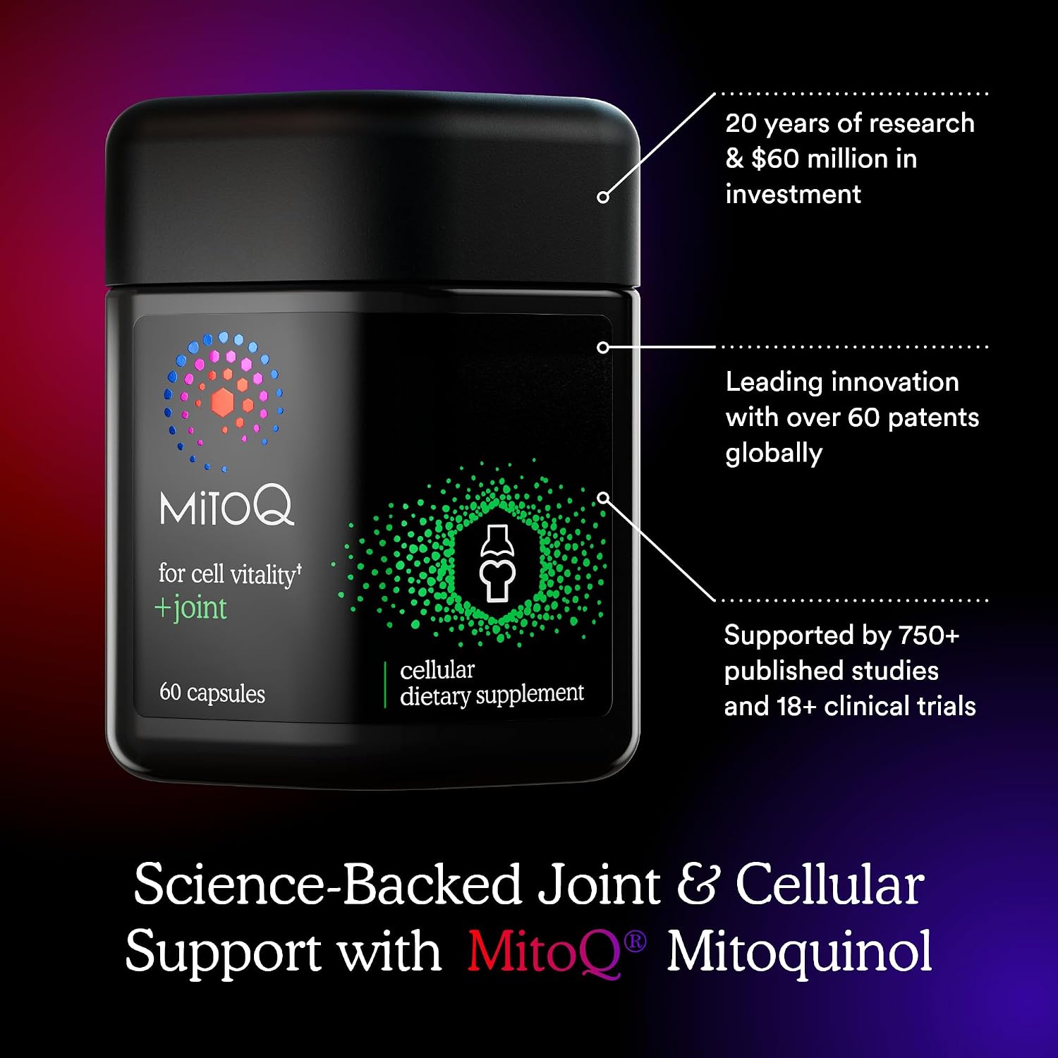 MitoQ +Joint 미토큐 플러스 조인트 60소프트젤 – 미토퀴놀·뉴질랜드 초록입홍합 관절 영양제