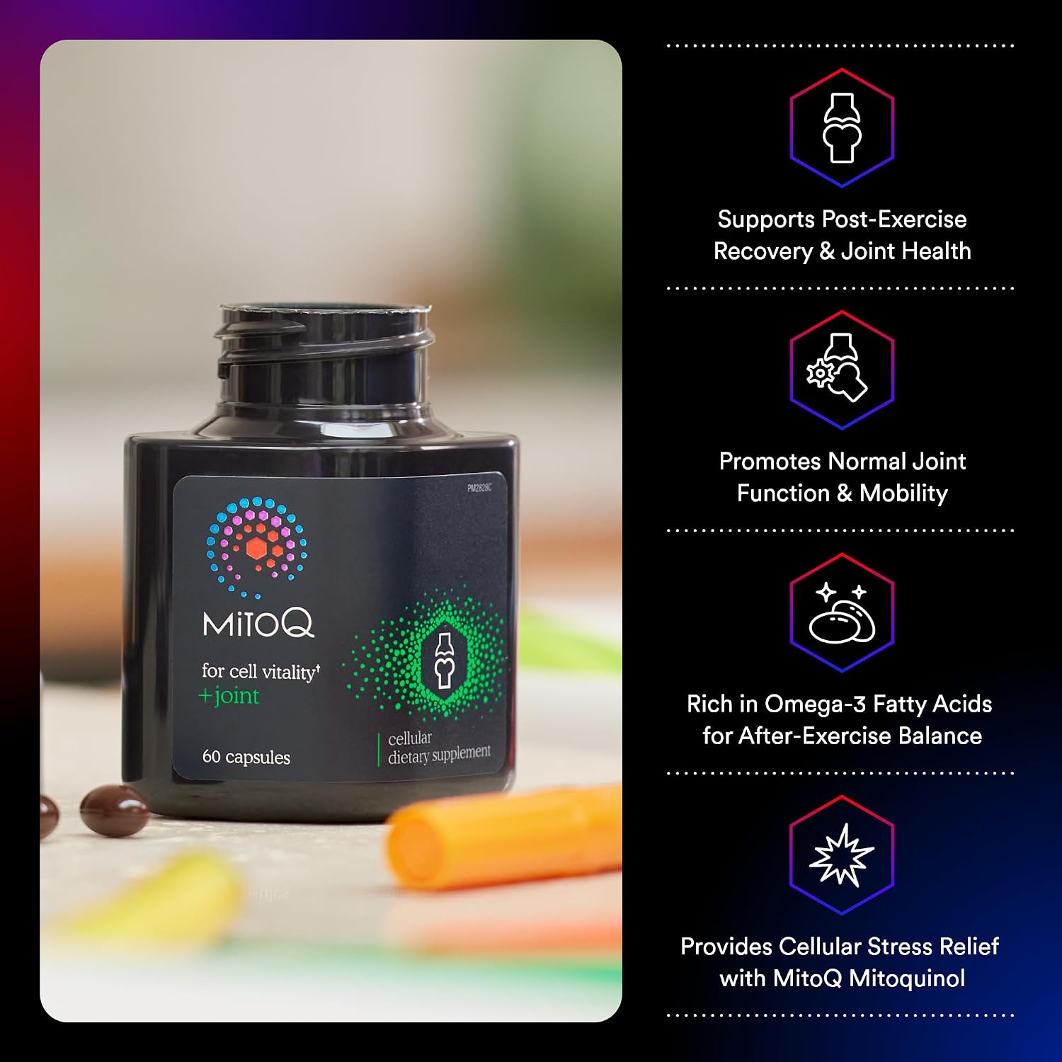 MitoQ +Joint 미토큐 플러스 조인트 60소프트젤 – 미토퀴놀·뉴질랜드 초록입홍합 관절 영양제