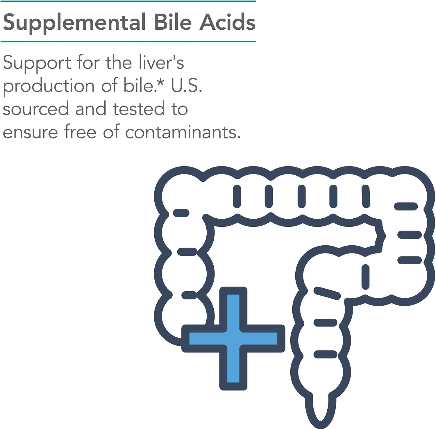 뉴트리콜로지 옥스 바일 500mg 100 정 농축 담즙산  – 지방 소화·지용성 비타민 흡수 지원 | NutriCology Ox Bile