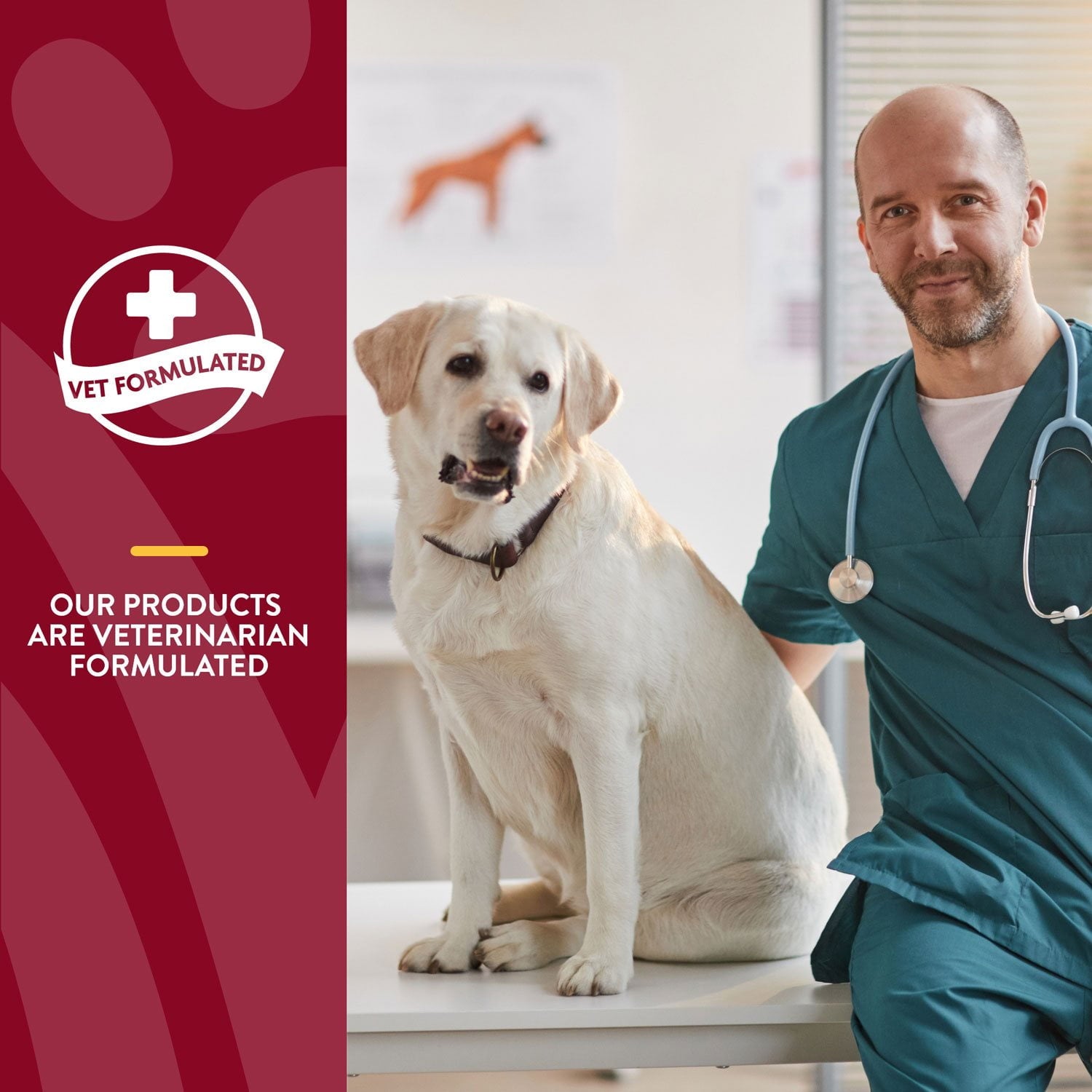 내추럴벳 크랜베리 릴리프 + 에키네시아 소프트츄 120 ct – 방광·요로 건강 지원