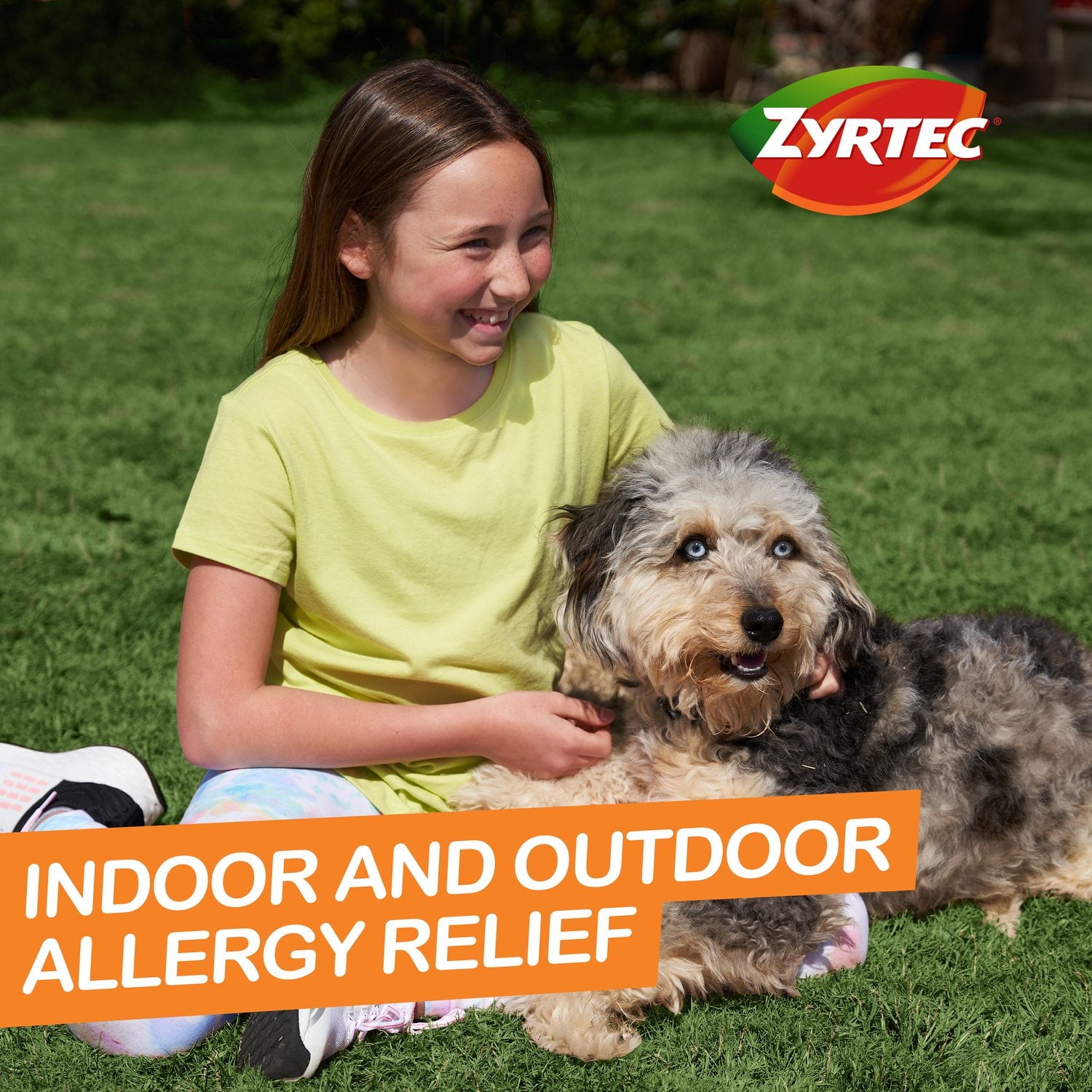 칠드런스 제이텍 알레르기 시럽 포도맛 4oz × 3 — 어린이용 항히스타민