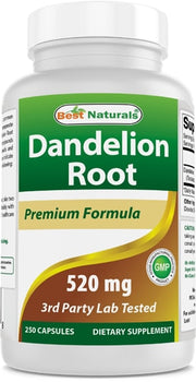 베스트 내추럴스 민들레 뿌리 520mg – 250캡슐 – 체내 노폐물·부종 관리가 필요한 경우 선택