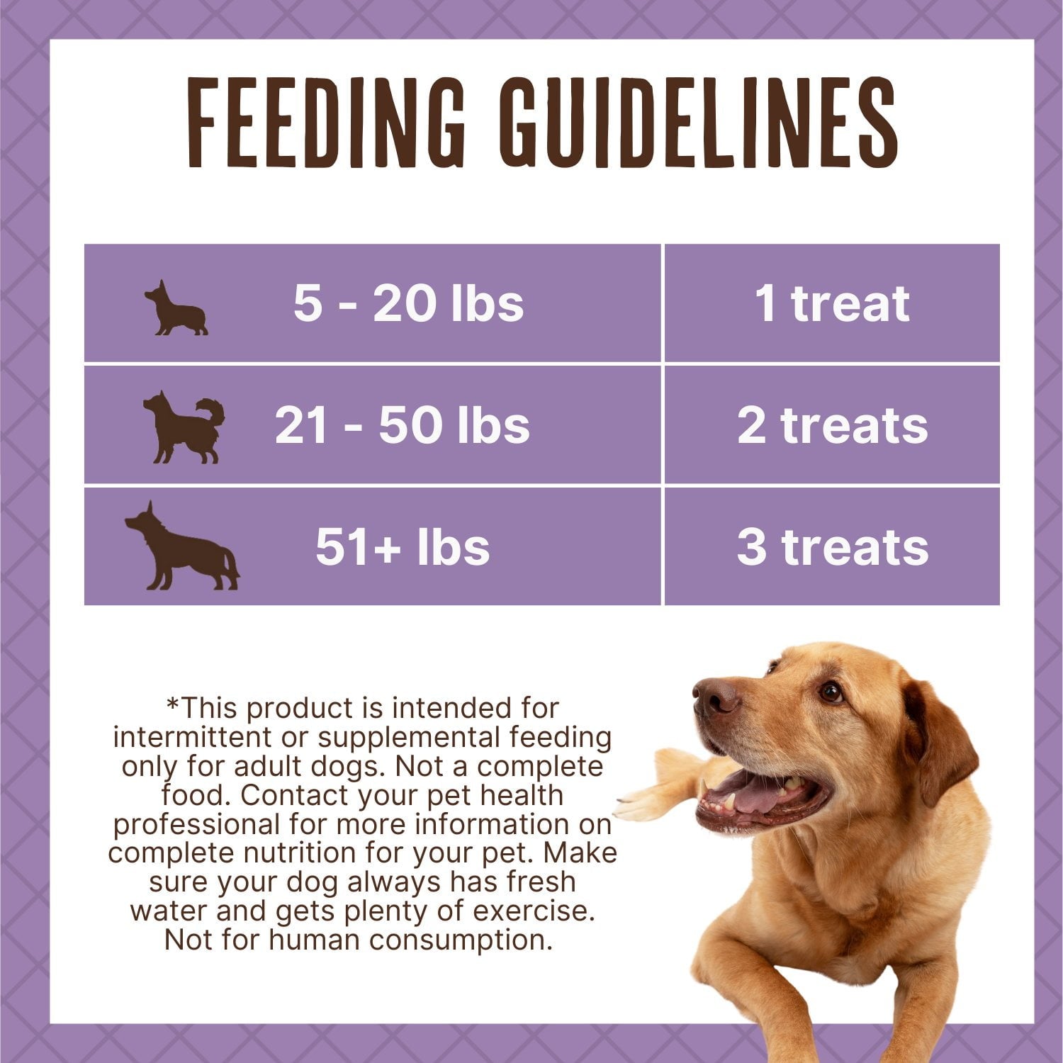 왜긴트레인 포크 & 베이컨 바나나 와플 36 oz – 바나나·고기 풍미의 고단백 와플 간식