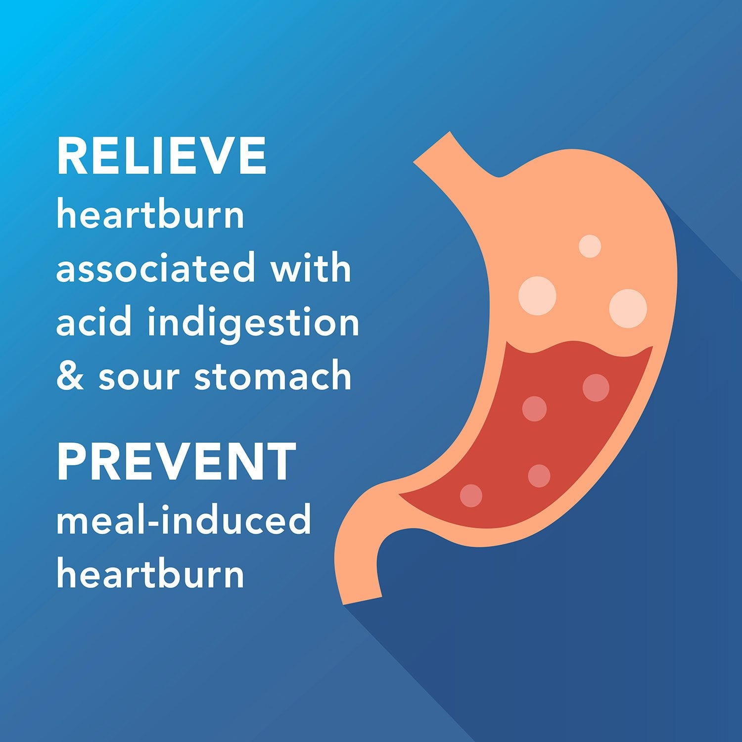 멤버스마크 파모티딘 20mg 2팩 – 속쓰림·위산 과다 개선