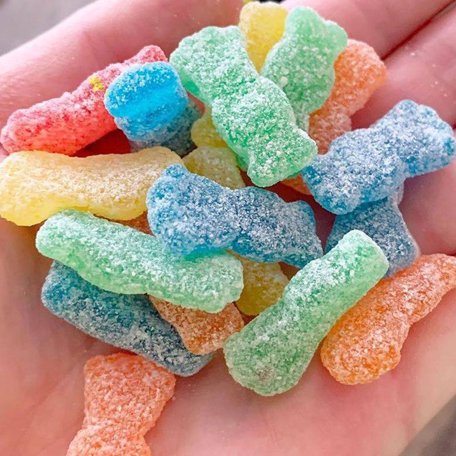 사워패치 키즈 & 스웨디시 피쉬 버라이어티팩 2oz × 24팩 — 새콤달콤 젤리 믹스팩