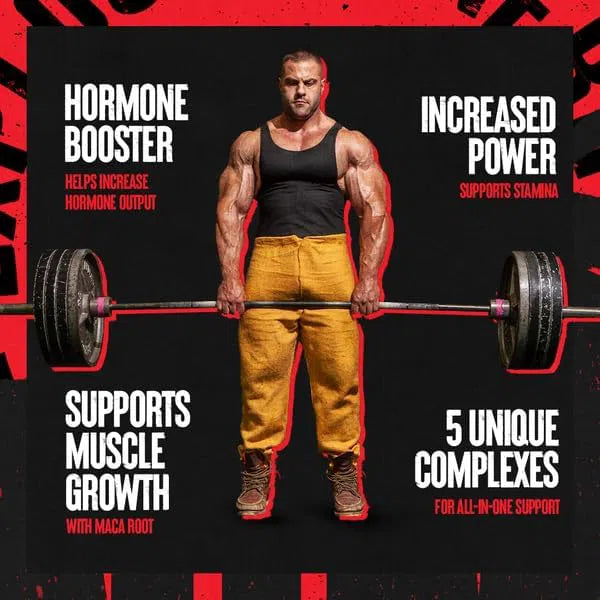 애니멀 스택 – 남성 퍼포먼스와 테스토스테론 기능을 지원하는 종합 포뮬러