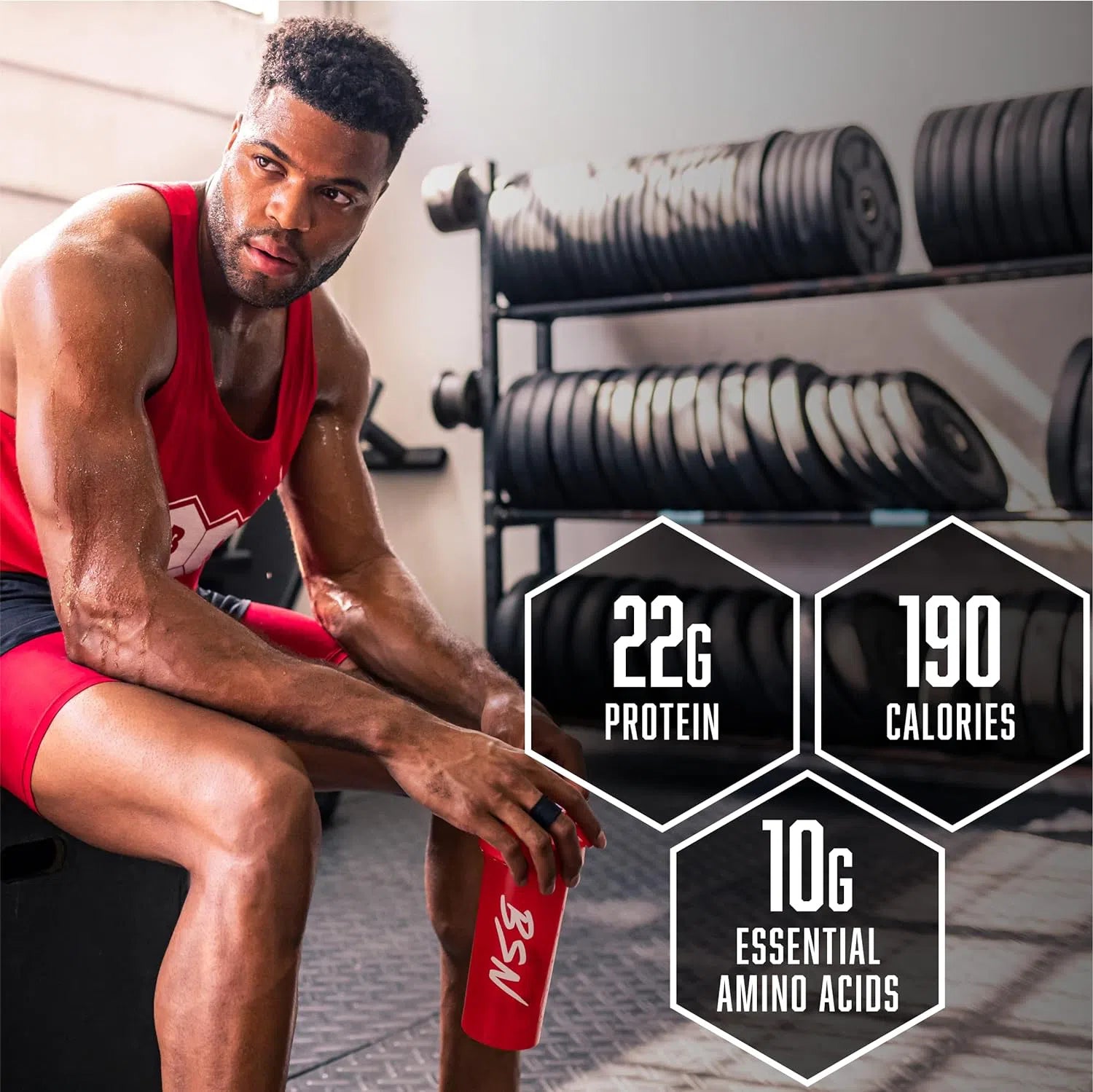 BSN 신타-6 — 인기 멀티소스 단백질